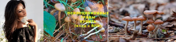 наркотики Балабаново