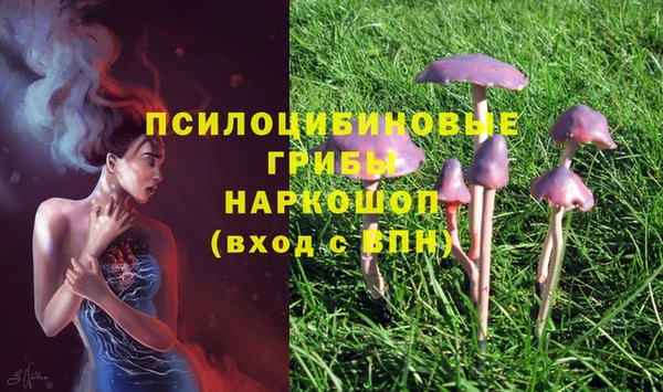 гашиш Баксан