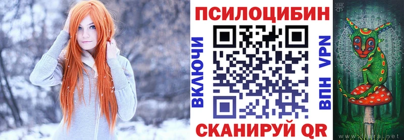 магазин продажи наркотиков  Лахденпохья  Галлюциногенные грибы Psilocybe 